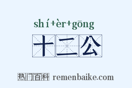 十二公是什么意思的图片